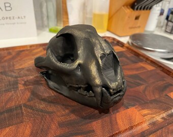 Cougar Skull Replica, 3D Printed Detachable Jaw Decor