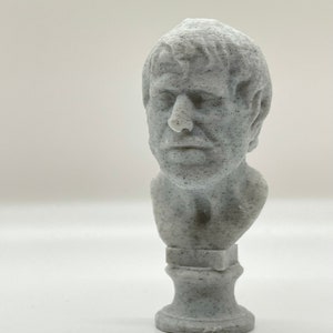 Puede incluir: Un busto de escultura blanca de una persona con una superficie texturizada. El busto est&aacute; sobre un pedestal.