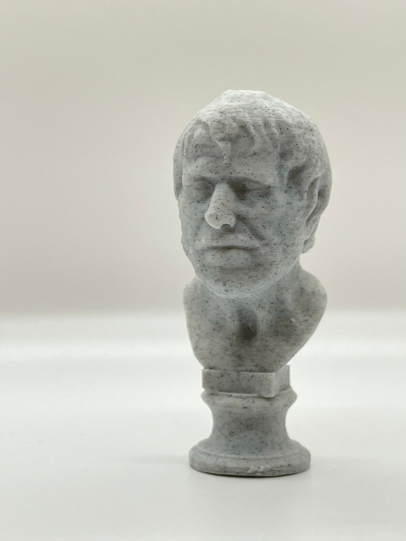 Puede incluir: Un busto de escultura blanca de una persona con una superficie texturizada. El busto est&aacute; sobre un pedestal.