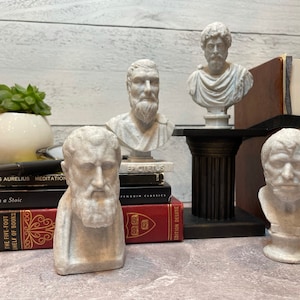 Puede incluir: Cinco bustos de yeso blanco de fil&oacute;sofos famosos, entre ellos Epicteto, Marco Aurelio y S&eacute;neca, se exhiben en una estanter&iacute;a con libros sobre estoicismo. Los bustes son todos de estilo cl&aacute;sico, con rasgos realistas y t&uacute;nicas fluidas.