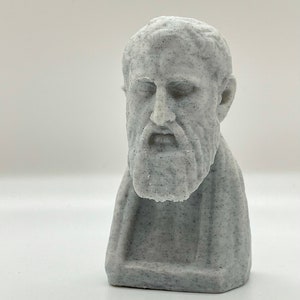 Puede incluir: Un busto de escultura gris de un hombre con barba. La escultura est&aacute; hecha de un material texturizado que se asemeja a la piedra.