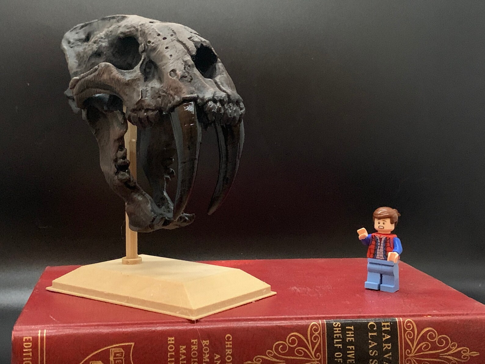 Sabertoothed Tiger Skull Replica Smilodon 3D Print Etsy