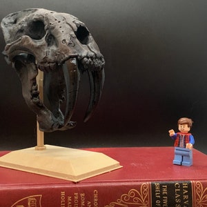 Sabertooth Tiger Skull, Skull, 3D Print Skull, Skull Art, Skull Decor, Skull On Stand, Dinosaur Skull, Dinosaur Decor, Smilodon