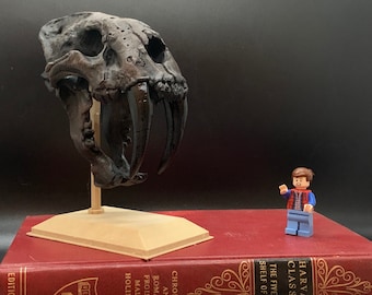 3D Printed Sabertooth Tiger Skull, Hand Painted Smilodon Decor