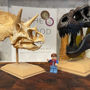 Triceratops Skull Replica 3D Print, Dinosaur Skull, Skull Replica, Skull Decor, Dinosaur Decor, Dinosaur Fossil, Dinosaur Gift, Dinosaur Art