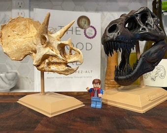 Réplica de cráneo de Triceratops impresa en 3D, decoración de dinosaurios