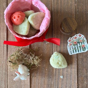 May include: A red fabric pouch with pink tissue paper containing several small, light green and pink shaped wax melts, including one orange ladybug. Beside it sits a small wooden-lidded jar, a white rabbit figurine, dried moss, and a floral sticker.