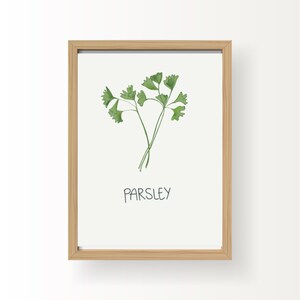 Peterselie kruid artwork print | Keukenkunstwerken en -decor | Downloadbare afdruk
