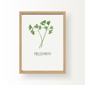 Italiaanse peterselie/Prezzemolo kruid artwork print | Keukenkunstwerken en -decor | Downloadbare afdruk