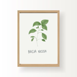 May include: A framed print of a green basil plant with the text "BACIA NICOLA" written below it.