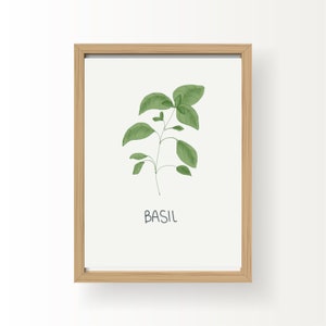 May include: A framed print of a green basil plant with the word "BASIL" written below it.