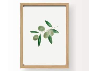 Green Olive Artwork Print | Kitchen Artwork and Decor | Downloadable Print