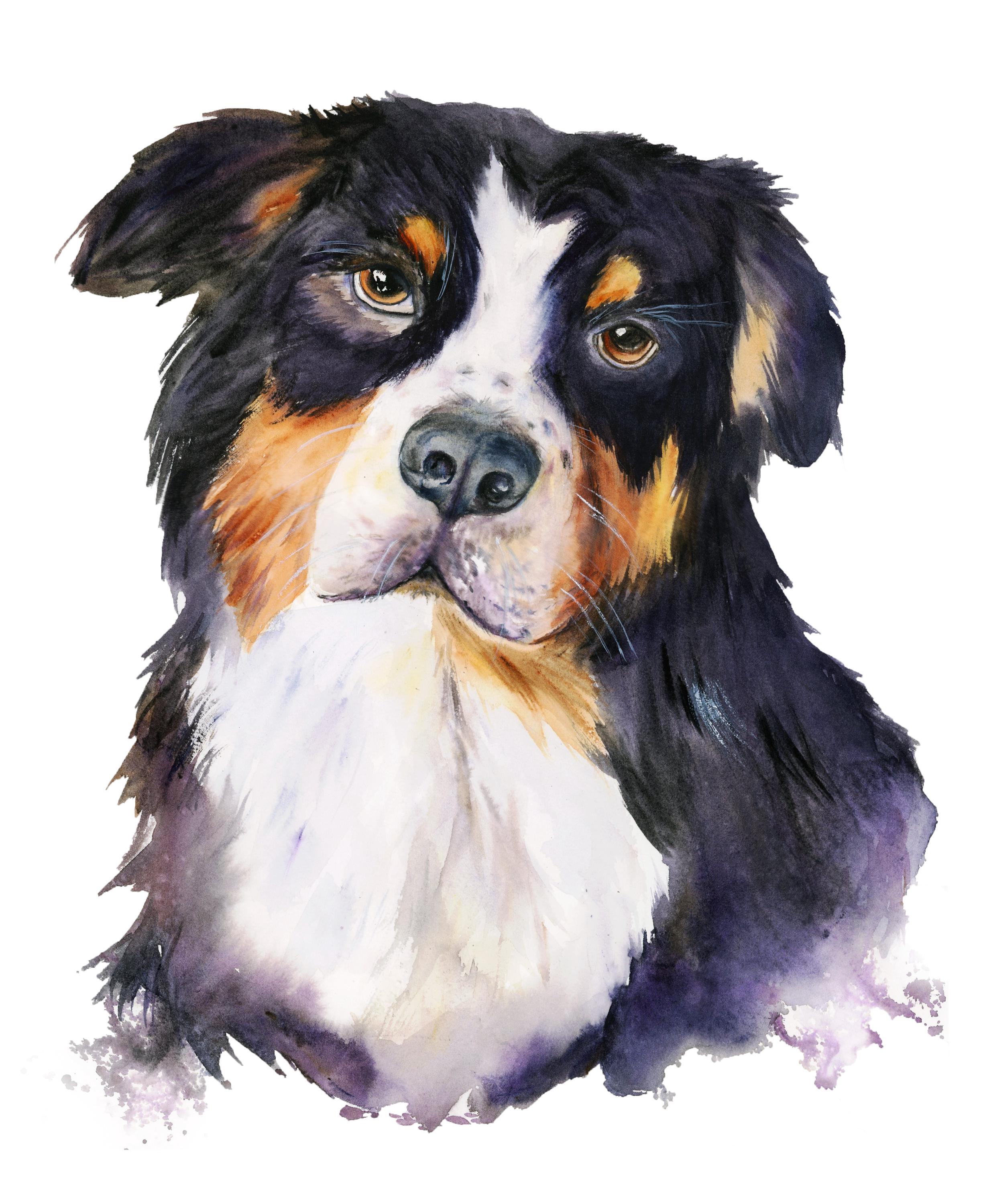 Custom Animal Portrait - Watercolor, Acrylic, or Mixed Media, Original artwork, 8x11 inches