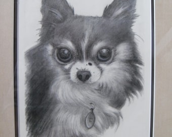 Custom Pet Portrait