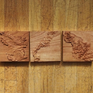 National Parks Topographic Wooden Relief Map