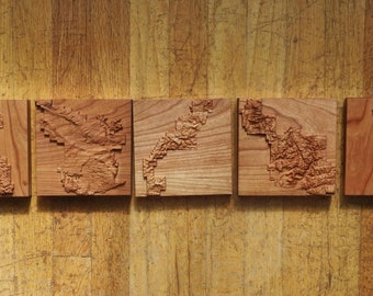 National Parks Topographic Wooden Relief Map