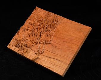 3D Colorado Wooden Topographic Map: Cherry or Walnut Wood