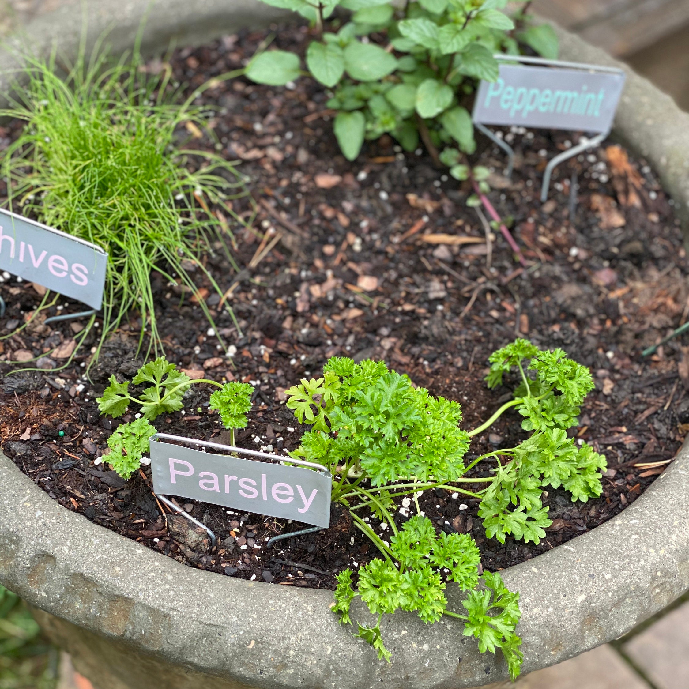 Estacas de jardín personalizadas | Etsy