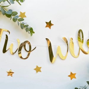 Two Wild Rose Gold Banner, Personalised (any colour), 2nd Birthday Banner, Second Birthday Bunting, Turning Two Garland, Rose Gold