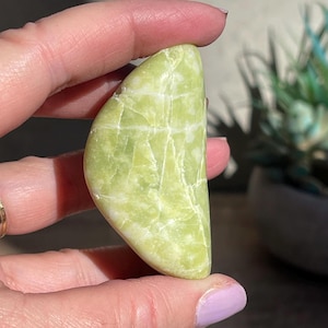 Large Tumbled Noble Serpentine, polished Serpentine, Big Healerite Tumbled Stone , Healing Crystals, Chakra Crystals