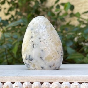 May include: A polished, egg-shaped stone with a creamy white base, speckled with black and gray inclusions. The stone is smooth and rounded, with a natural, organic form. It sits on a light-colored surface, with a blurred green background.