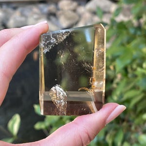 High Quality Smoky Quartz Polished Freeform, Clear Smoky Quartz Crystal, Natural Color Polished Quartz, Healing Crystals