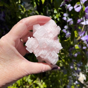 Pink Halite from Searles Lake, CA, Pink Crystals, Salt Crystal, Gift for Crystal Collectors