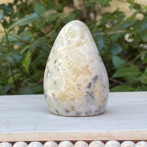 May include: A smooth, teardrop-shaped stone with a cream-colored base and black and gray veining. The stone is displayed on a white surface with a decorative beaded edge, with green foliage in the background.