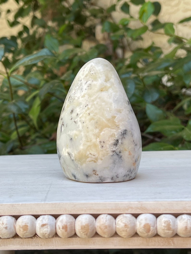 May include: A smooth, teardrop-shaped stone with a cream-colored base and black and gray veining. The stone is displayed on a white surface with a decorative beaded edge, with green foliage in the background.