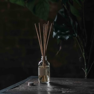 PROJECT COAX Reed Diffuser. [CSA] Cedar. Sandalwood. Amber. Hand bottled, non-toxic, vegan, Eco-friendly packaging.