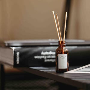 Pino, Tabacco e Muschio / Diffusore a bastoncini COAX PTM / Fragranza per ambienti di lusso conforme alle normative VOC / Selezionato da Double Chicken Please