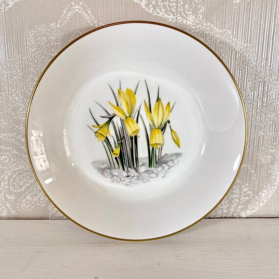 Vintage Royal Worcester Fine Bone China Decorative Art Plate Etsy