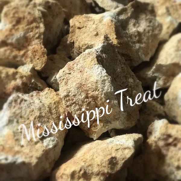 Edible Clay - 1 Pound Mississippi Treat