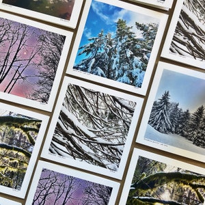 Trees of Winter - Set de 10 tarjetas de felicitación en blanco