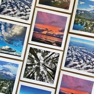 Gaia Pack - Set of 5 Blank Greeting Cards