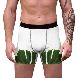 Men&#39;s Underwear Boxer Briefs