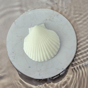 May include: A white seashell-shaped object rests on a round, light gray stone. The seashell has detailed ridges and a smooth surface. The stone is surrounded by rippling water, creating a serene and natural aesthetic.
