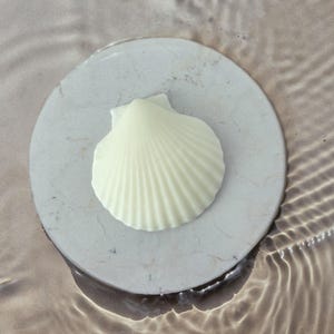 Sea Shell Soap  – Goat Milk & Glycerin (1 soap)