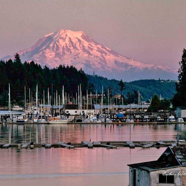 Mt. Rainier, Gig Harbor, Washington (H), Landscape/Nature Photography