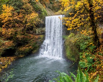 Lower South Falls, Silver Falls State Park, Oregon (V)