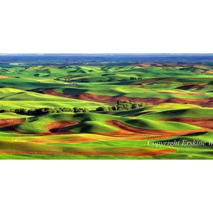 Palouse Hills, Washington (H-XL)