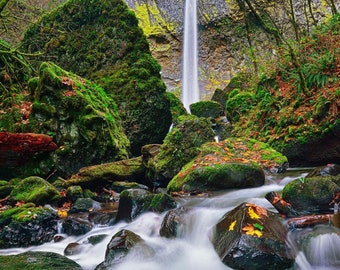 Elowah Falls, Columbia Gorge, Oregon (V), Landscape/Nature Photography