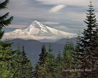 Mt. Hood from Larch Mountain, Oregon (H), Landscape/Nature Photography
