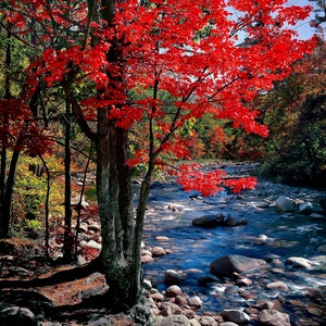 Swift River, New Hampshire (V), Landscape/Nature Photography