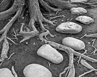 Stone Path, Tokyo, Japan (V), Black and White Landscape/Fine Art Photography