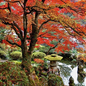 Hori Teien Garden, Muraki, Japan (V)