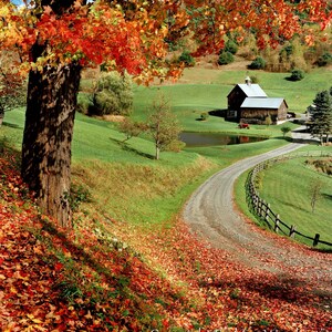 Sleepy Hollow Farm, Vermont (V), Landscape/Nature Photography