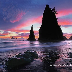 Sunset, Rialto Beach, Washington (H), Landscape/Nature Photography