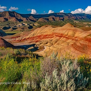 Painted Hills, Eastern Oregon (H), Landscape/Nature Photography