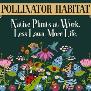May include: A dark green sign featuring the text POLLINATOR HABITAT, Native Plants at Work. Less Lawn. More Life. The illustration displays colourful flowers, hummingbirds, butterflies, ladybirds, bees, and dragonflies in a garden setting.